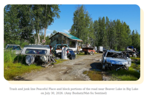 Community meeting aims to tackle crime, dumping on troubled Big Lake street